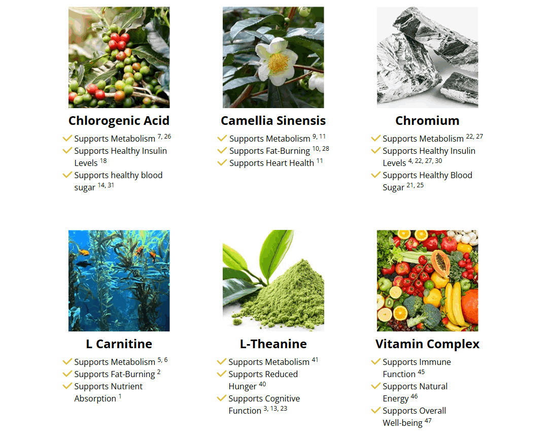 Metabo Drops is formulated with a thoughtful combination of probiotics, essential minerals, and natural ingredients that work together to support stronger teeth, healthier gums, and better overall oral health